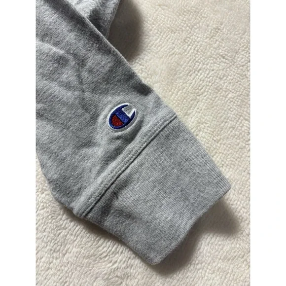 Champion Solid Gray Multi Color Lettering Hoodie Sweatshirt Men's Size Large - Picture 6 of 8